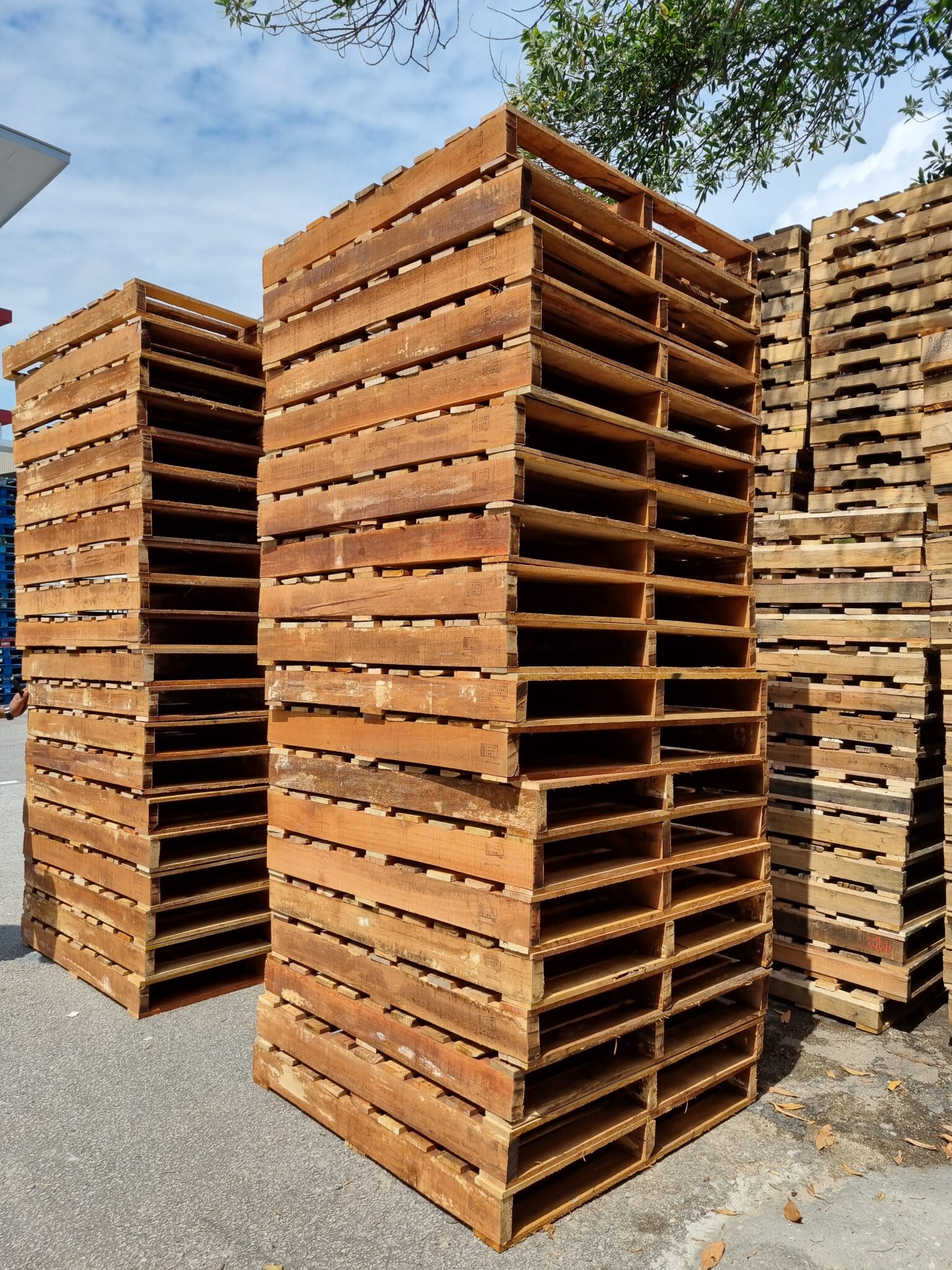 Recycle and New Wooden Pallet – MSN NILAI RESOURCES